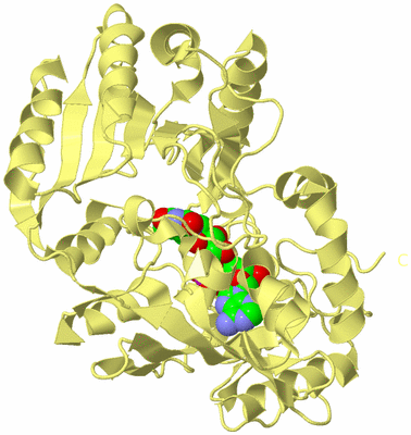 Image Biological Unit 4