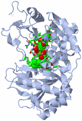 Image Biol. Unit 1 - sites