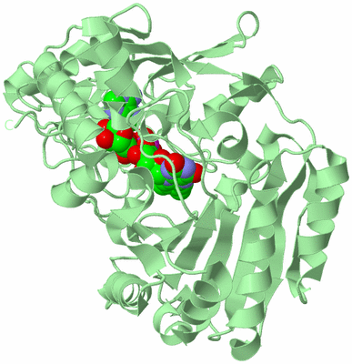 Image Biological Unit 2