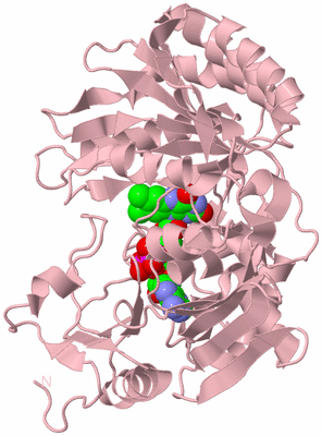 Image Biological Unit 3