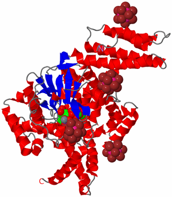 Image Asym./Biol. Unit