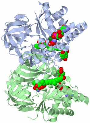 Image Asymmetric Unit