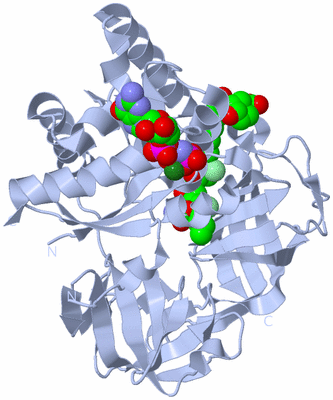 Image Biological Unit 1