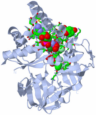 Image Biol. Unit 1 - sites