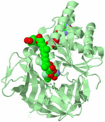 Image Biological Unit 2