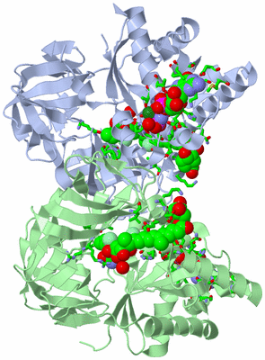 Image Asym. Unit - sites