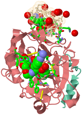 Image Asym./Biol. Unit - sites