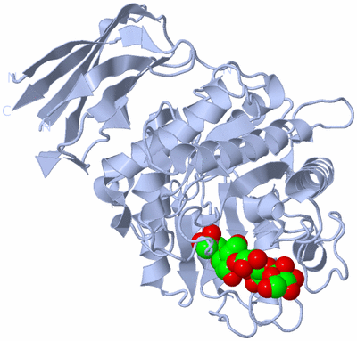 Image Biological Unit 1