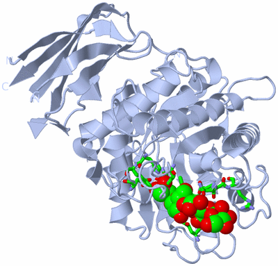 Image Biol. Unit 1 - sites