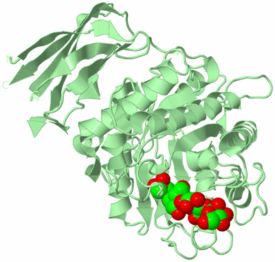 Image Biological Unit 2