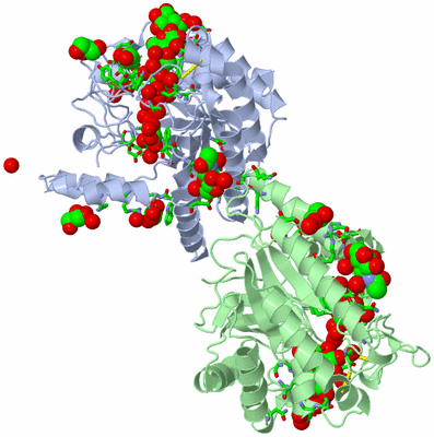 Image Asym./Biol. Unit - sites