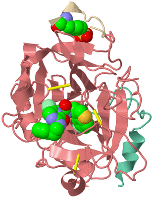 Image Asym./Biol. Unit