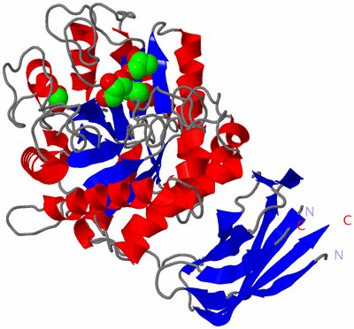 Image Asym./Biol. Unit