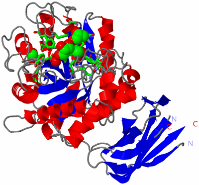 Image Asym./Biol. Unit - sites