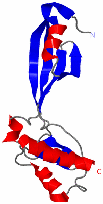 Image NMR Structure - model 1