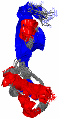 Image NMR Structure - all models