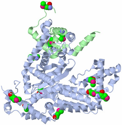 Image Asymmetric Unit