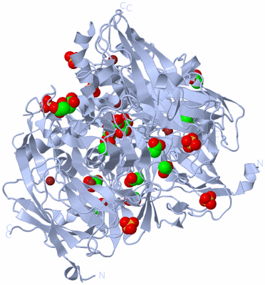 Image Biological Unit 1