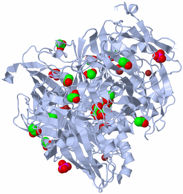 Image Biological Unit 1