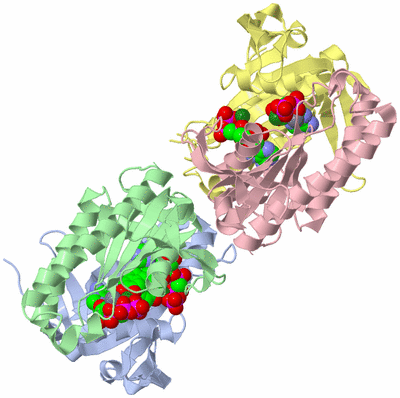 Image Asymmetric Unit