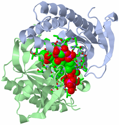Image Biol. Unit 1 - sites