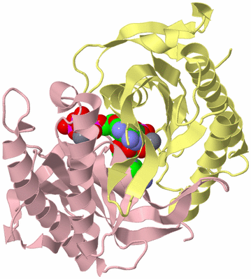 Image Biological Unit 2