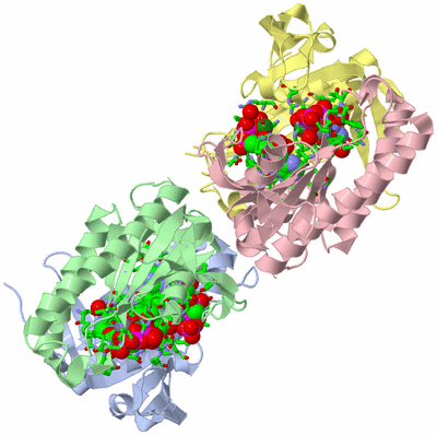 Image Asym. Unit - sites