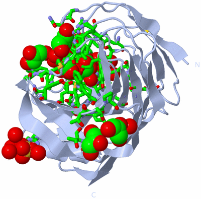 Image Biol. Unit 1 - sites