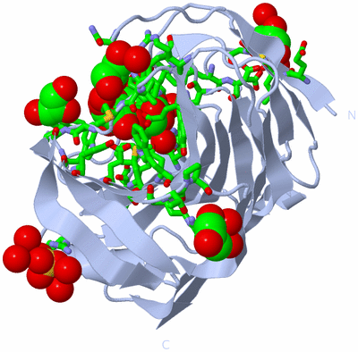 Image Biol. Unit 1 - sites