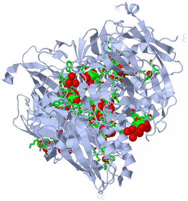 Image Biol. Unit 1 - sites