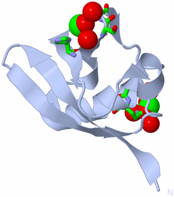 Image Biol. Unit 1 - sites