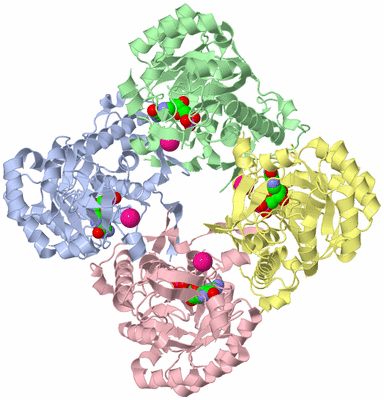 Image Asym./Biol. Unit