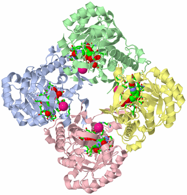 Image Asym./Biol. Unit - sites