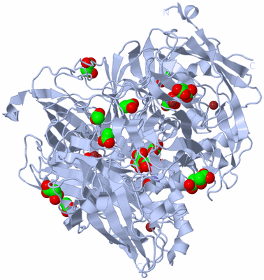 Image Biological Unit 1