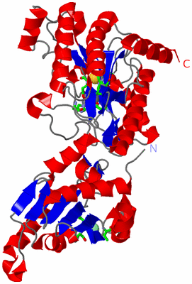 Image Asym. Unit - sites