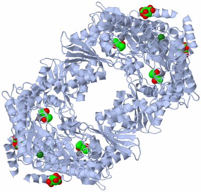 Image Biological Unit 1