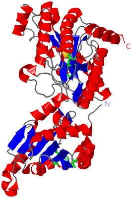 Image Asym. Unit - sites