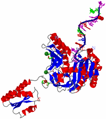 Image Asym. Unit - sites