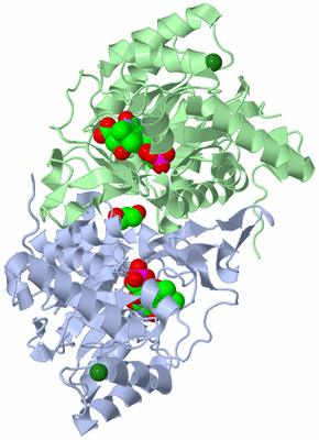 Image Asym./Biol. Unit