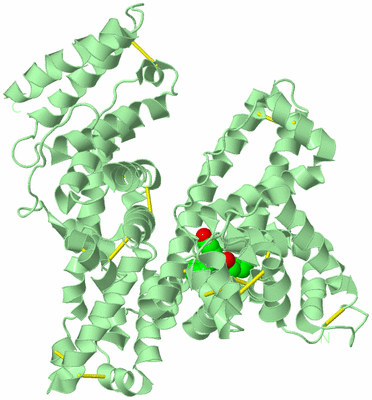 Image Biological Unit 2