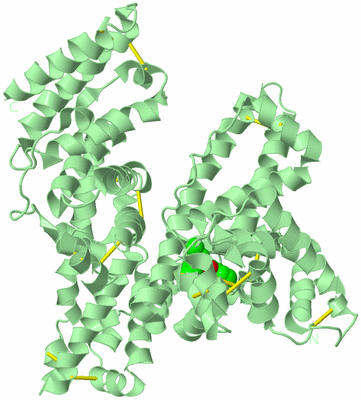 Image Biological Unit 2