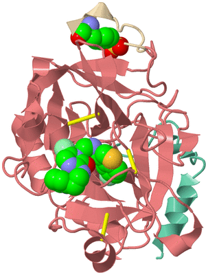 Image Asym./Biol. Unit