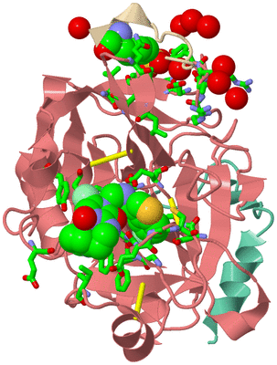 Image Asym./Biol. Unit - sites