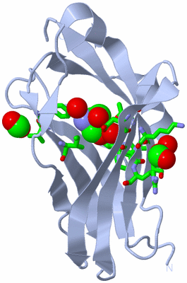 Image Biol. Unit 1 - sites