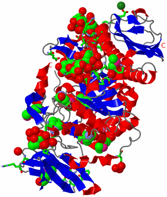 Image Asym./Biol. Unit - sites