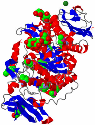 Image Asym./Biol. Unit