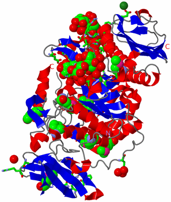 Image Asym./Biol. Unit - sites