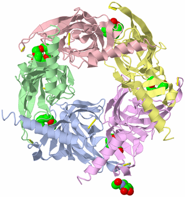 Image Asym./Biol. Unit