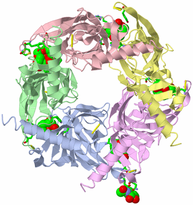 Image Asym./Biol. Unit - sites