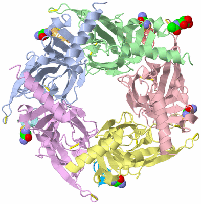 Image Asym./Biol. Unit